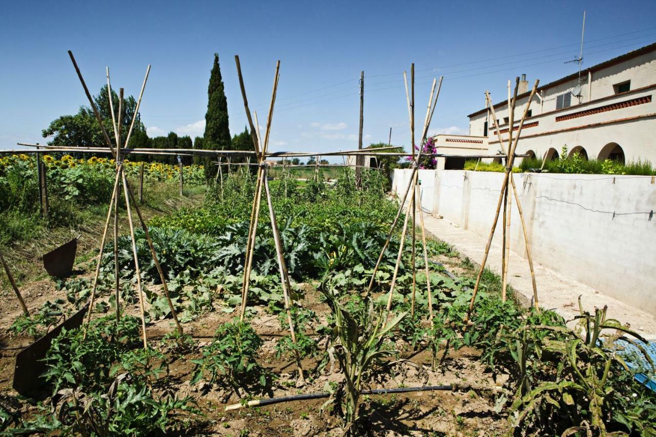 Guso Séjour à la ferme *